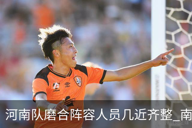 河南队磨合阵容人员几近齐整 南基一剑指中超前六