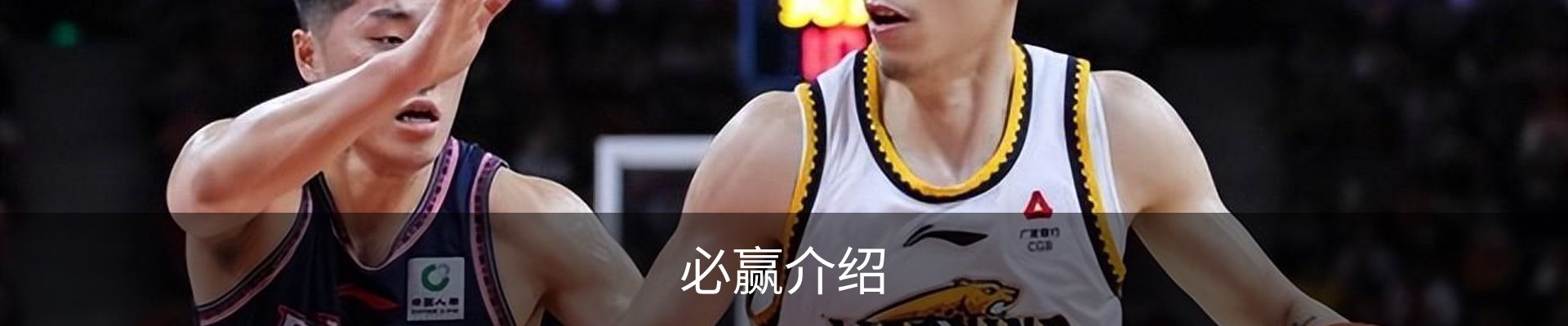 必赢介绍